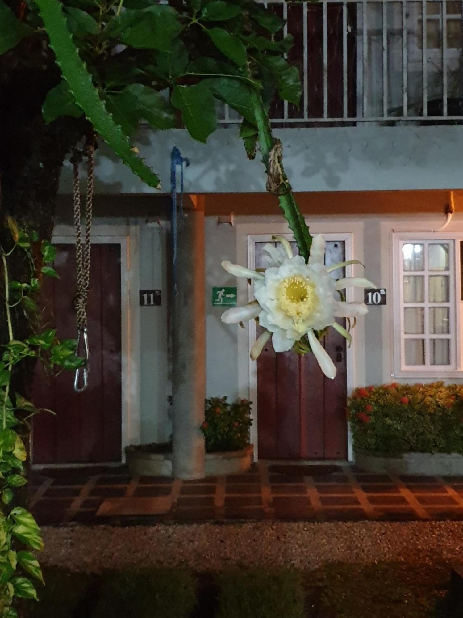 Hotel Liberia Eksteriør billede